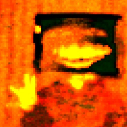 Tadpole - Single