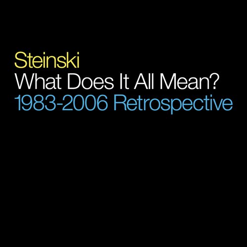 What Does It All Mean? - 1983-2006 Retrospective