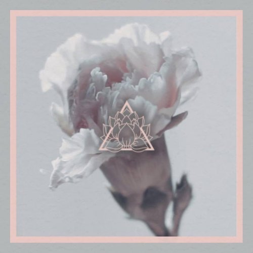 The Rooms We Lived In