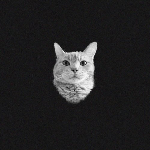 The Basement Demos