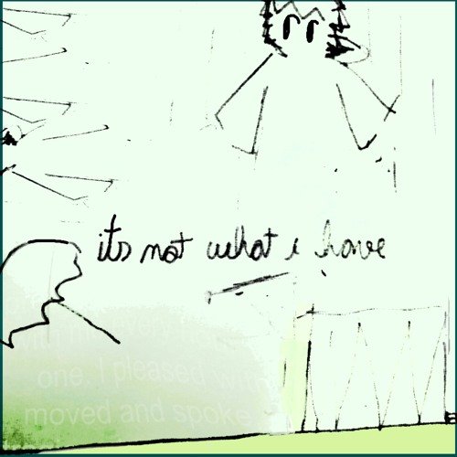 It's Not What I Have - Single