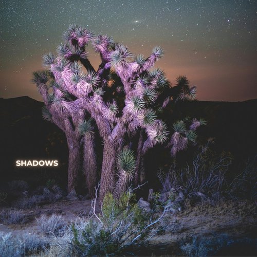 Shadows