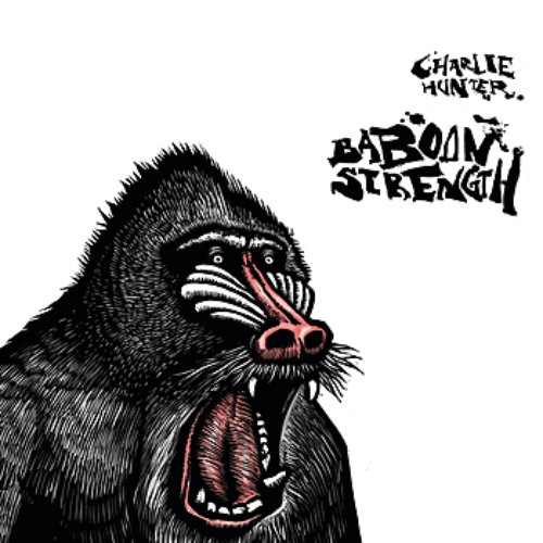 Baboon Strength