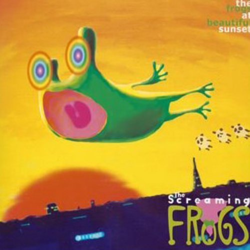 The frogs at beautiful sunset