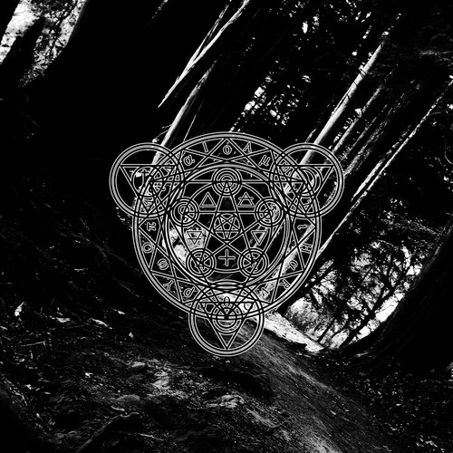 Wood Within
