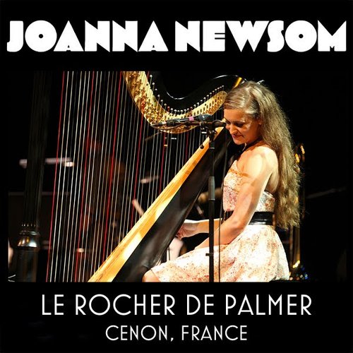 2011-01-19: Le Rocher de Palmer, Cenon, France