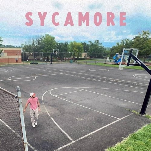SYCAMORE