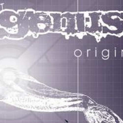 Origin