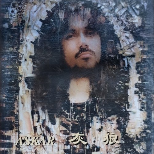 灰狼