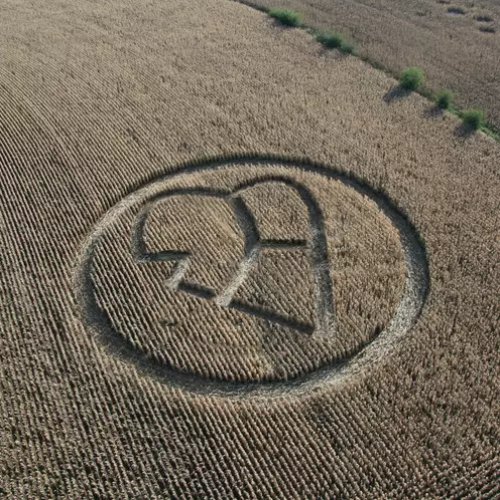 Untitled Compilation