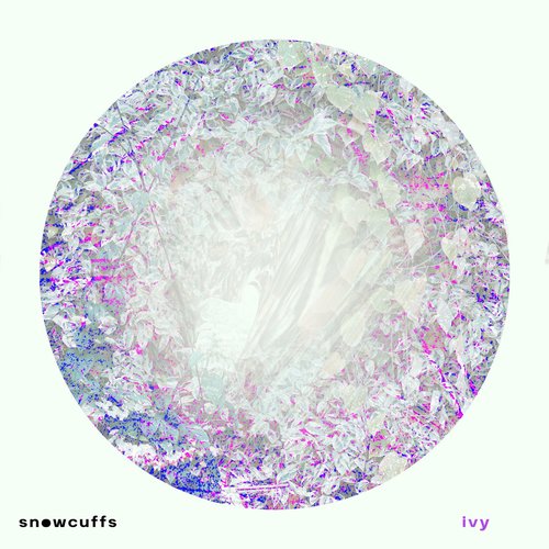 Ivy