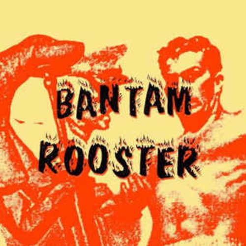 Bantam Rooster