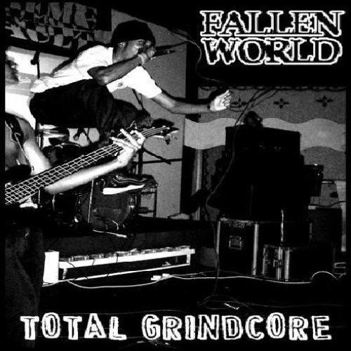 Fallen World