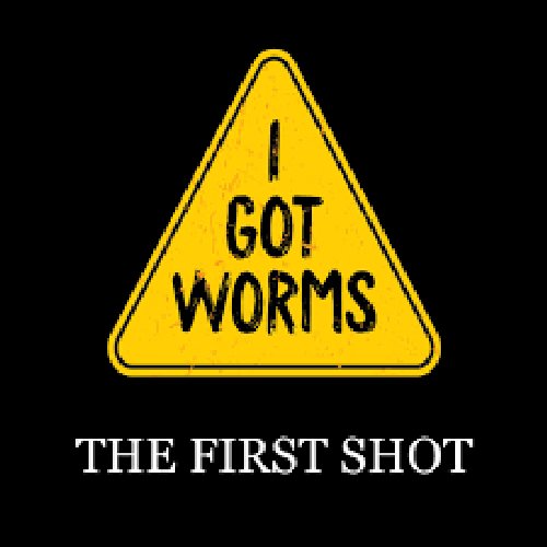 The First Shot