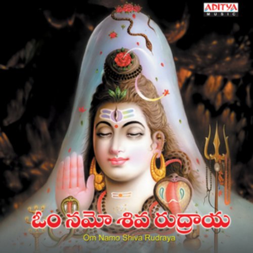 Om Namo Shiva Rudraya