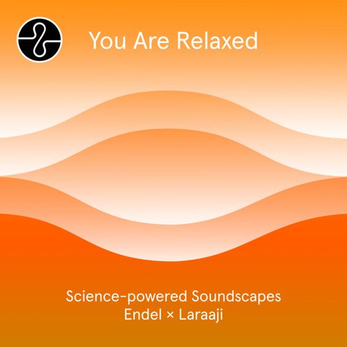 Meditation: You Are Relaxed
