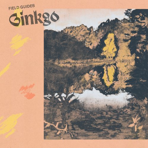 Ginkgo