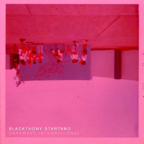 DARKWAVE INTERNACIONAL