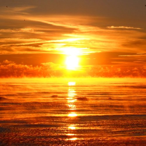 Shimmer