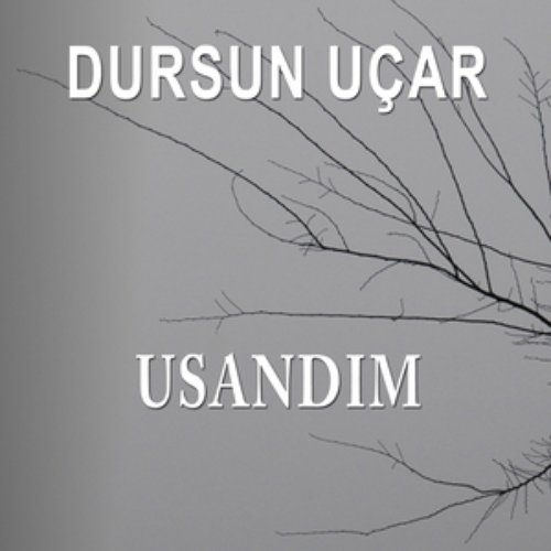 Usandım