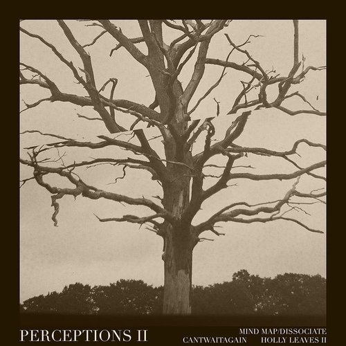 Perceptions II - Single
