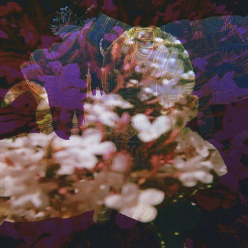 Lost in the Vortex