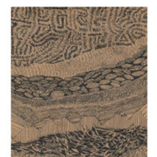 A Cognitive Trail of Abstraction