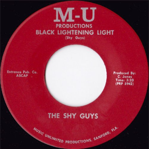 Goodbye to You / Black Lightening Light