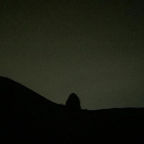 K Hole - Single