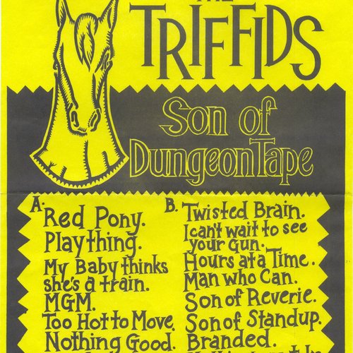 Son of Dungeon Tape