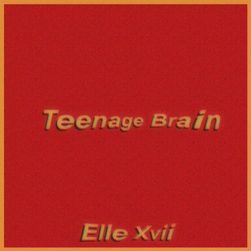 Teenage Brain