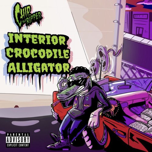 Interior Crocodile Alligator Freestyle