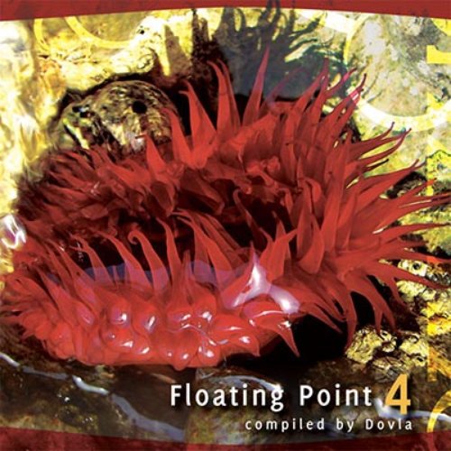 Floating Point 4