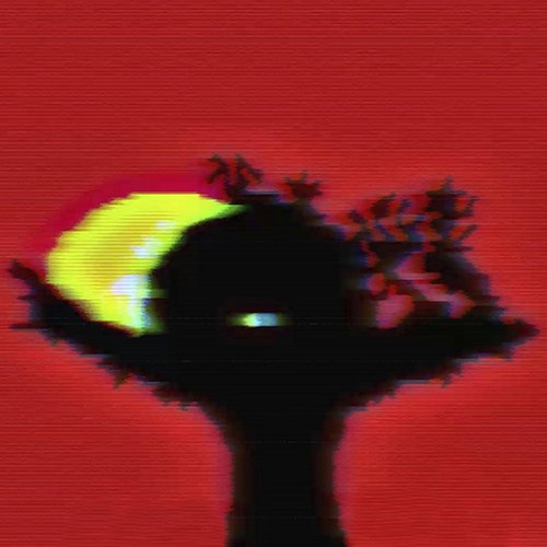 Eye