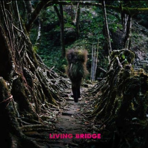 Living Bridge (Disc 1--No Crossfades)