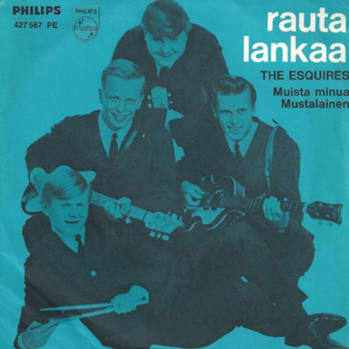 Rautalankaa