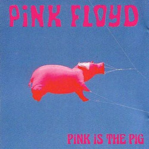 Pink is the Pig