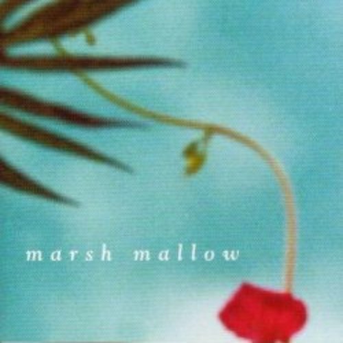 marsh mallow
