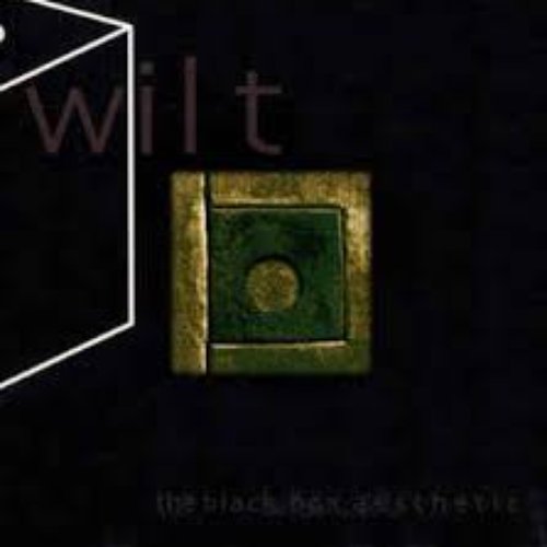 The Black Box Aesthetic