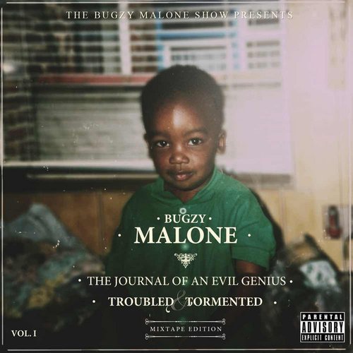 The Journal Of An Evil Genius: Volume 1