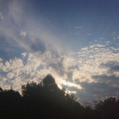 Sorrowful Summer