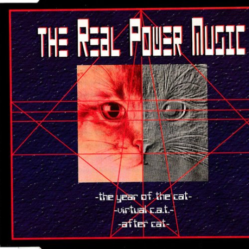 The Year Of The Cat