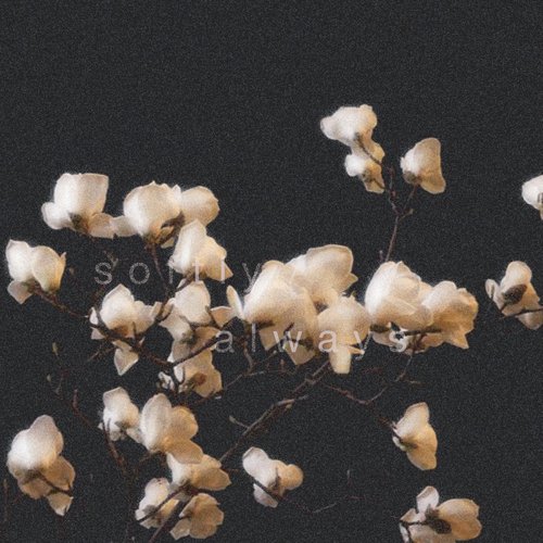 Kiss Me Softly, Love Me Always - Single