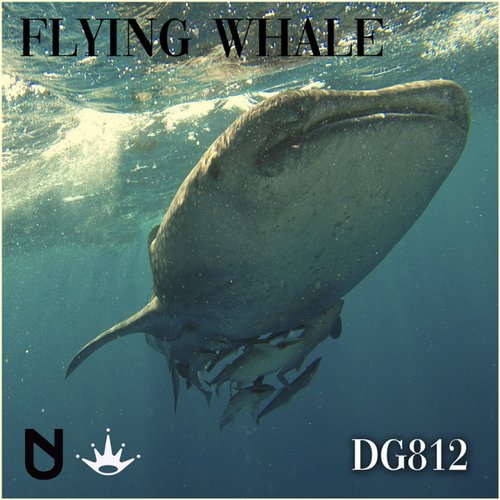 Flying Whale