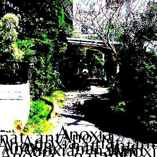 Anoxia