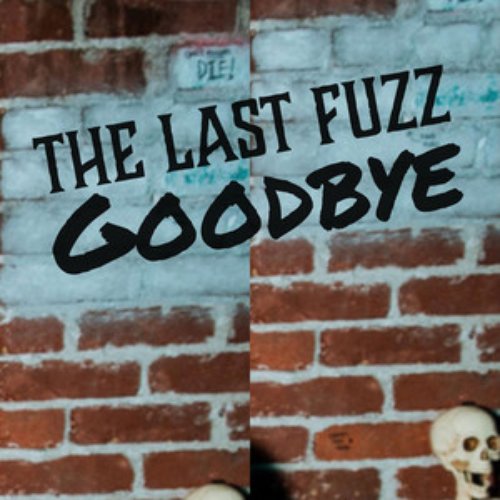 Goodbye - Single