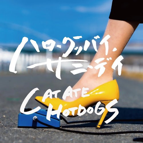 Hello Goodbye , Sunny Day