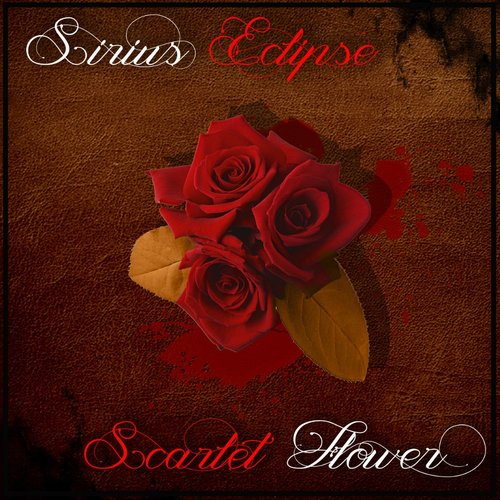 Scarlet Flower