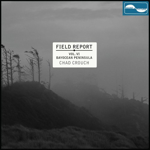 Field Report Vol VI: Bayocean Peninsula