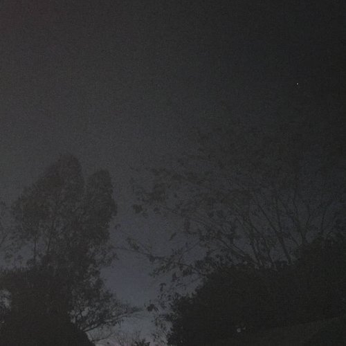 notes - Single